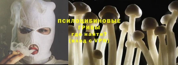 apvp Алексеевка