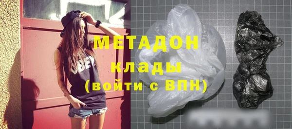 индика Алексин