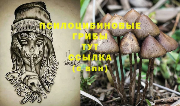 apvp Алексеевка